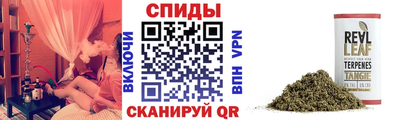 Бутират бутандиол  kraken ссылки  Грайворон 