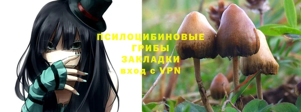 сатива Алексин