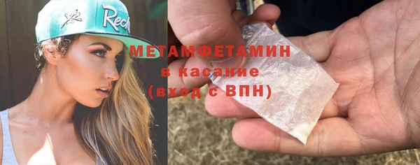 прущие грибы Слюдянка