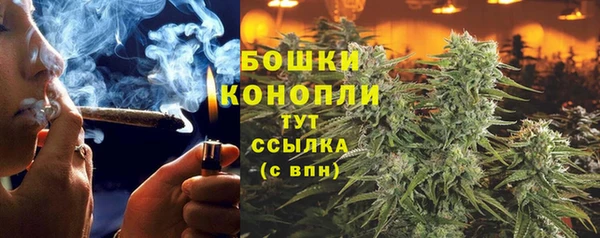 шишки Алзамай