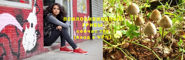 сатива Алексин
