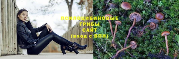 сатива Алексин