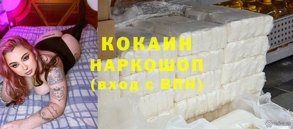 шишки Алзамай
