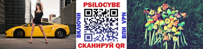 Псилоцибиновые грибы MAGIC MUSHROOMS  Грайворон 